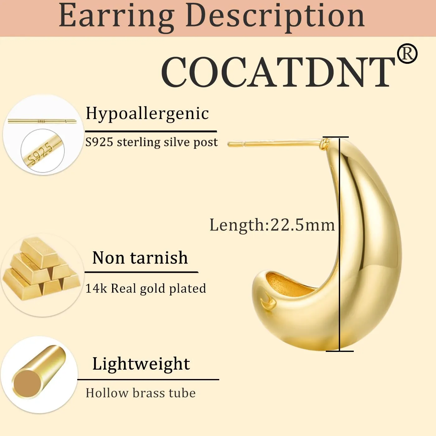 Cocadant Sterling Silver Hoop Earrings for Women,14K Real Gold Plated Hypoallergenic Hoop Earrings with Elegant Gift Box